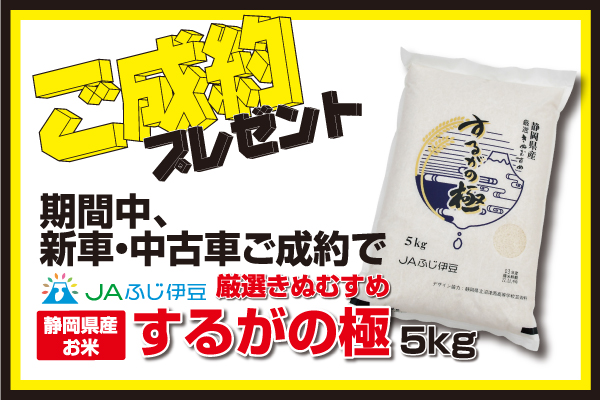 プレゼントイメージ